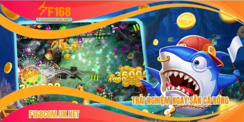 Trải nghiệm ngay săn cá rồng