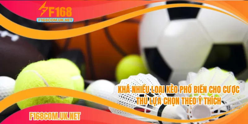 Khá nhiều loại kèo phổ biến cho cược thủ lựa chọn theo ý thích