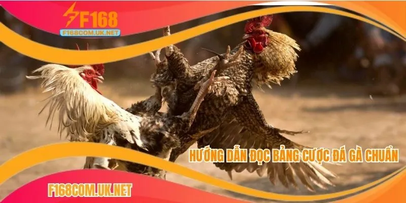 Hướng dẫn đọc bảng cược đá gà chuẩn