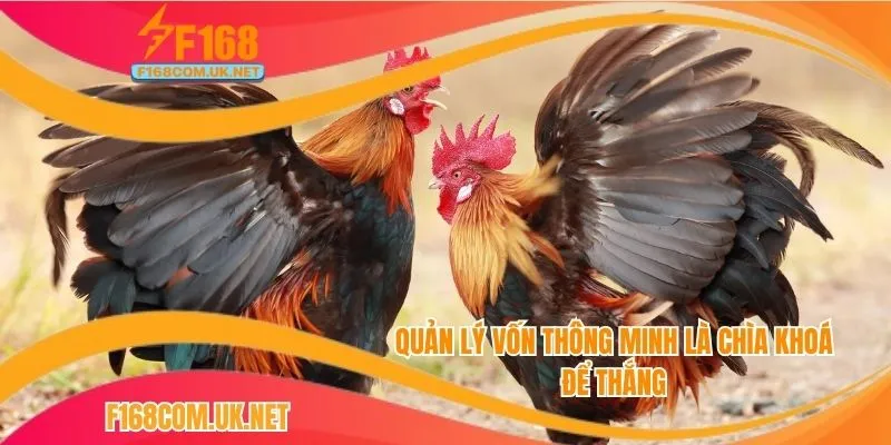 Quản lý vốn thông minh là chìa khoá để thắng